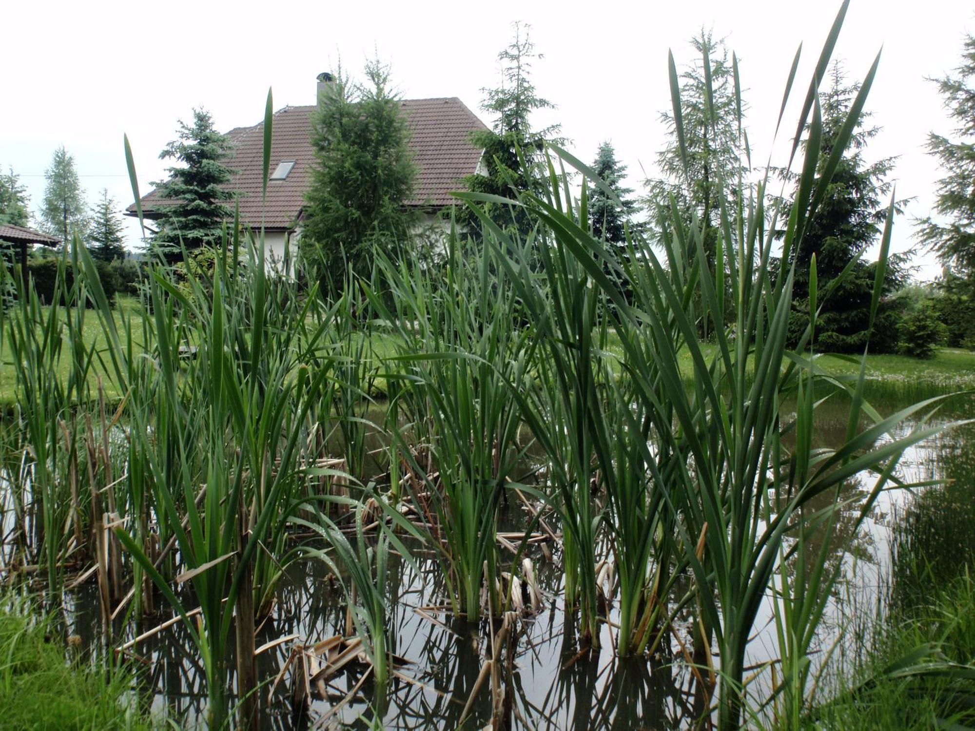 Penzion Harvanek Vlachovice Exterior foto